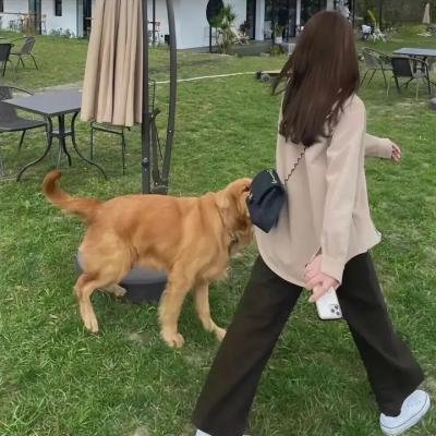 我不是购物狂